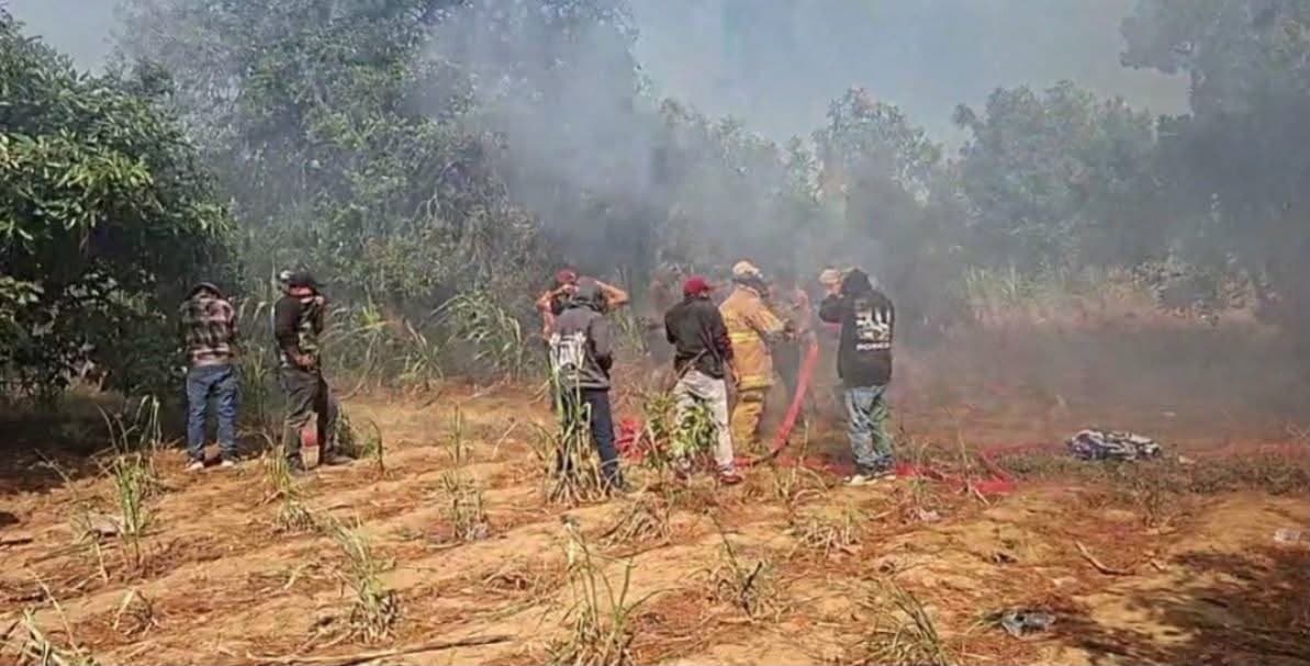 Incendio forestal