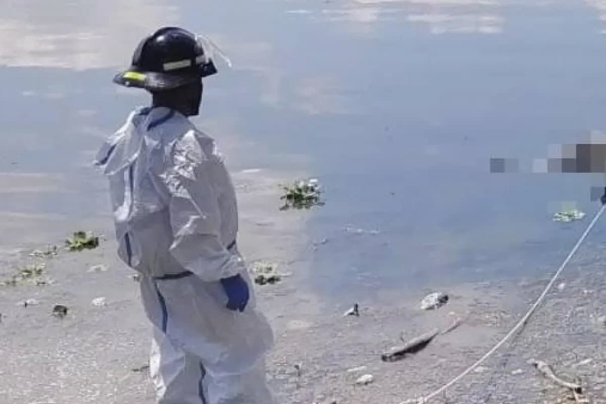 El cuerpo fue hallado en Playa de Oro.