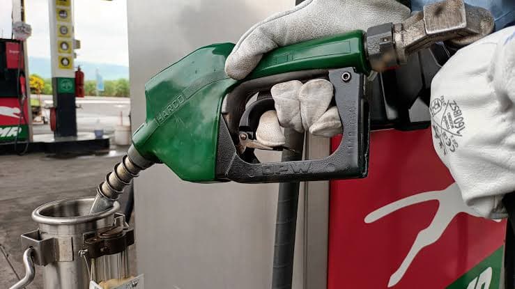Gasolina