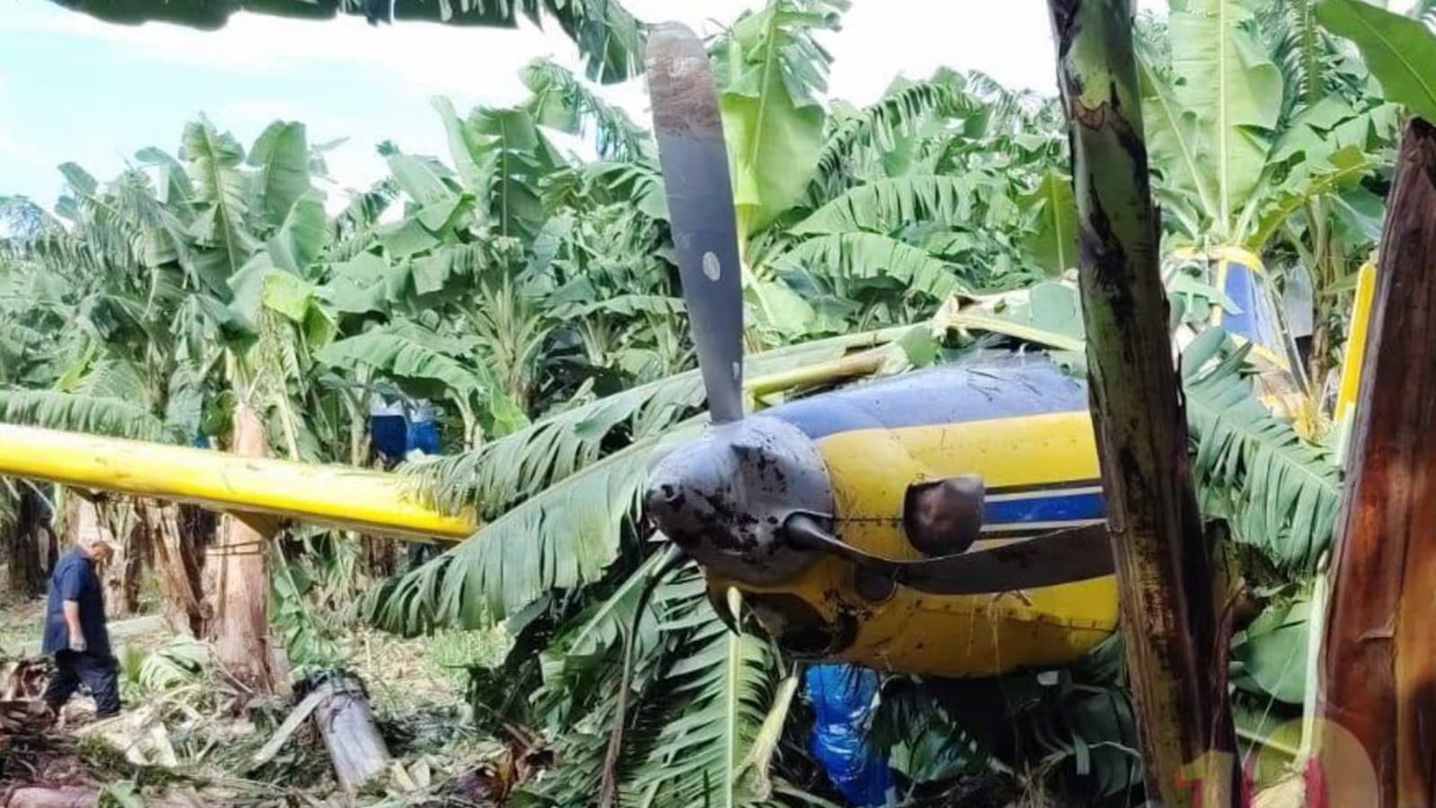 Avioneta se desploma