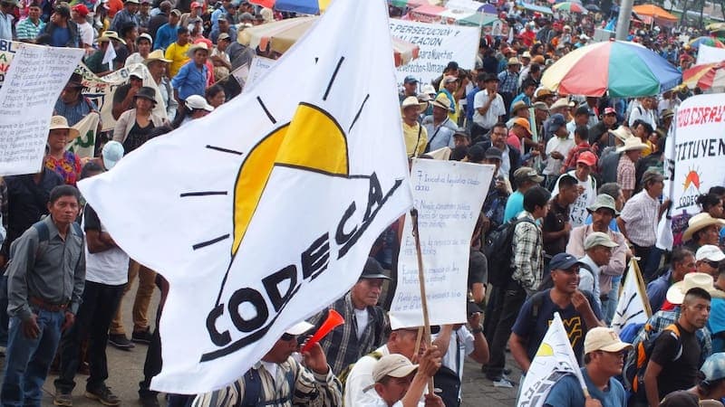 Manifestación codeca